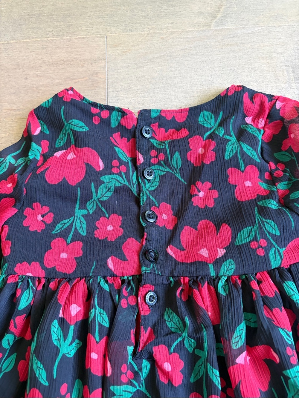 Carter's Black Dress with Red Floral Print and Green Leaves - Picture 5 of 5
